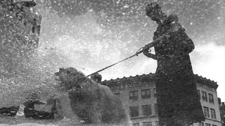 Illustration for article titled These Photos Were Amazingly Taken from Street Puddles
